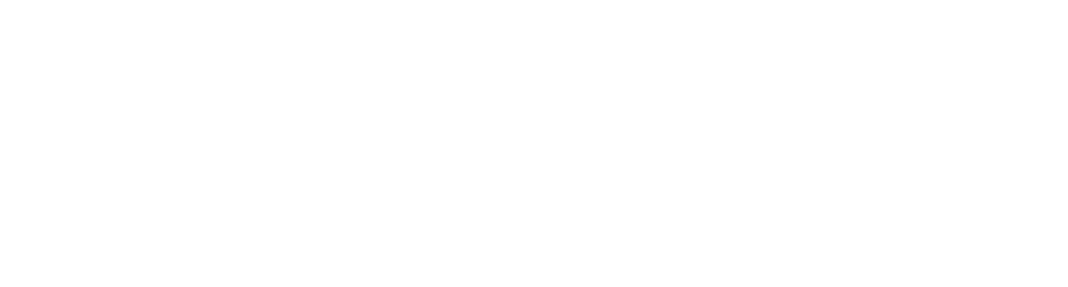 DiaSorin logo fulle size on a dark background (transparent PNG)