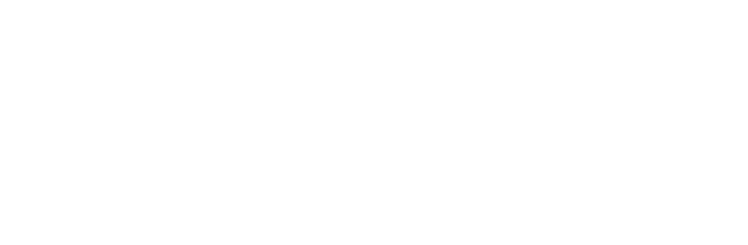 DiDi logo fulle size on a dark background (transparent PNG)