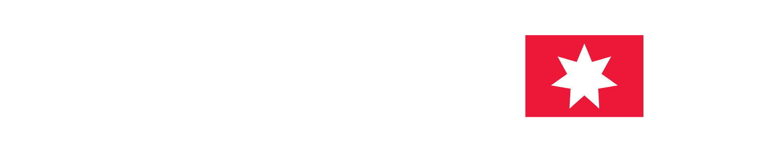 D/S Norden (Dampskibsselskabet Norden) logo fulle size on a dark background (transparent PNG)