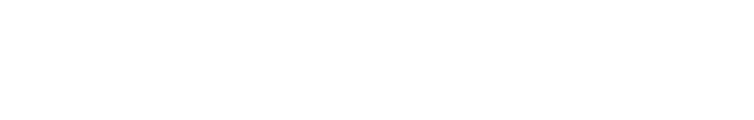 Discovery Silver Corp. logo fulle size on a dark background (transparent PNG)