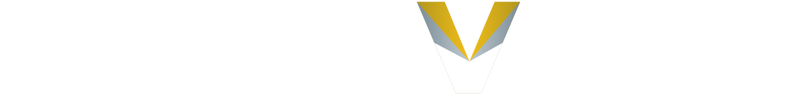 Discovery Silver Corp. logo fulle size on a dark background (transparent PNG)