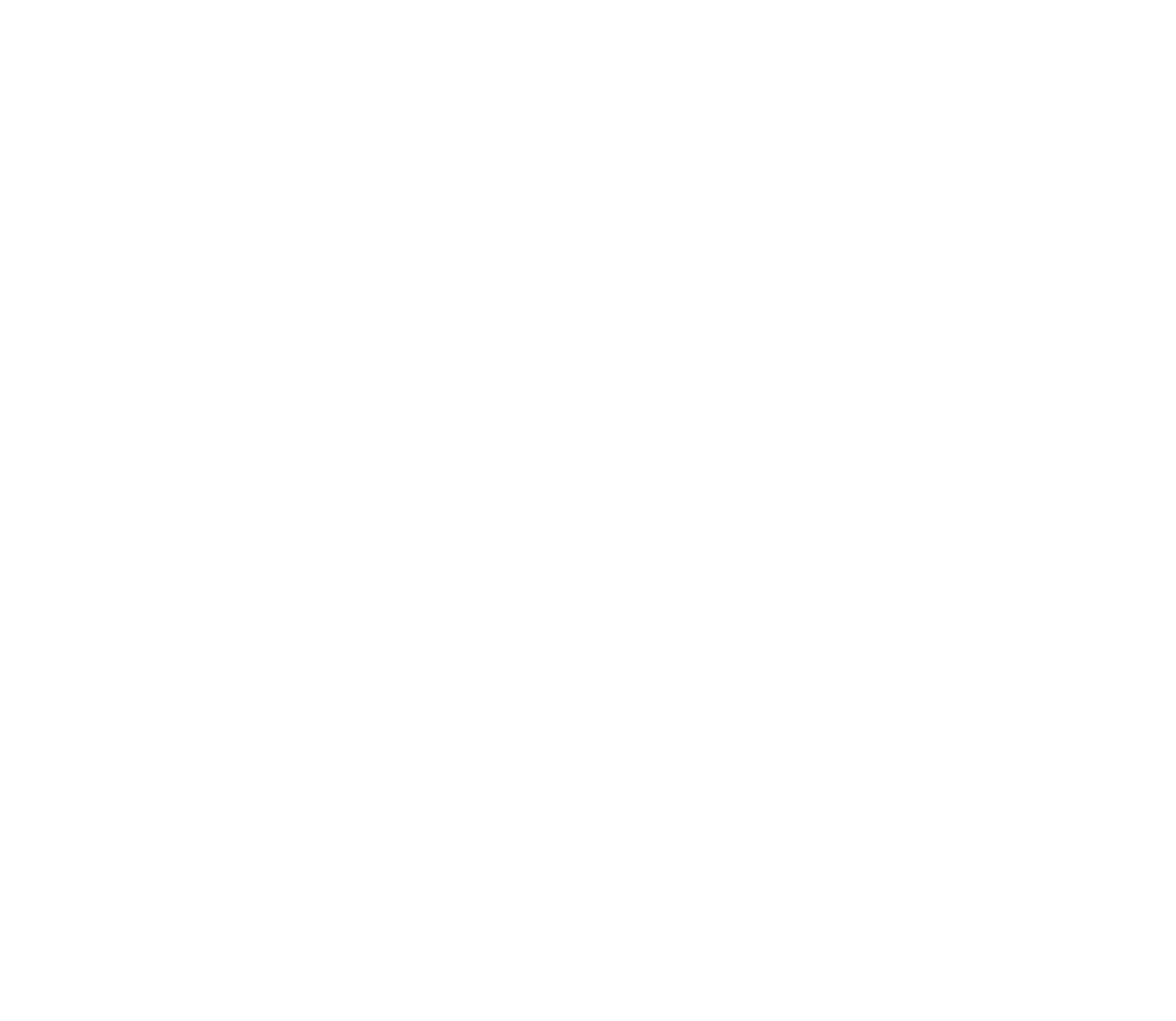 Everest Group logo on a dark background (transparent PNG)