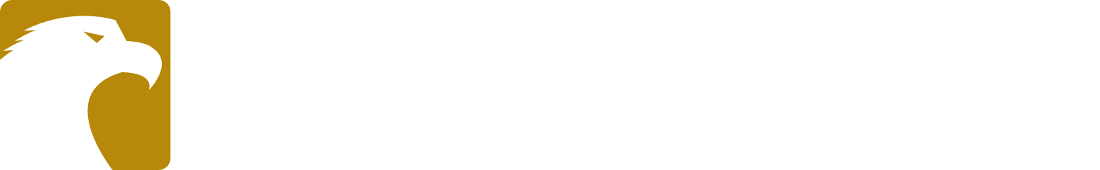 Eagle Bancorp logo fulle size on a dark background (transparent PNG)