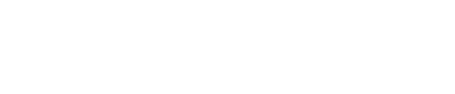 Everest Group logo grand pour les fonds sombres (PNG transparent)