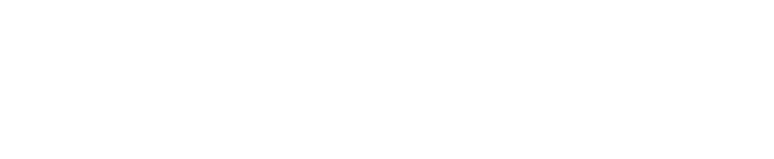 Everest Group logo fulle size on a dark background (transparent PNG)