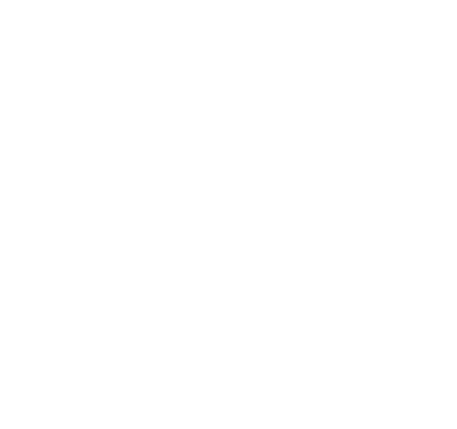 EMEIS logo fulle size on a dark background (transparent PNG)