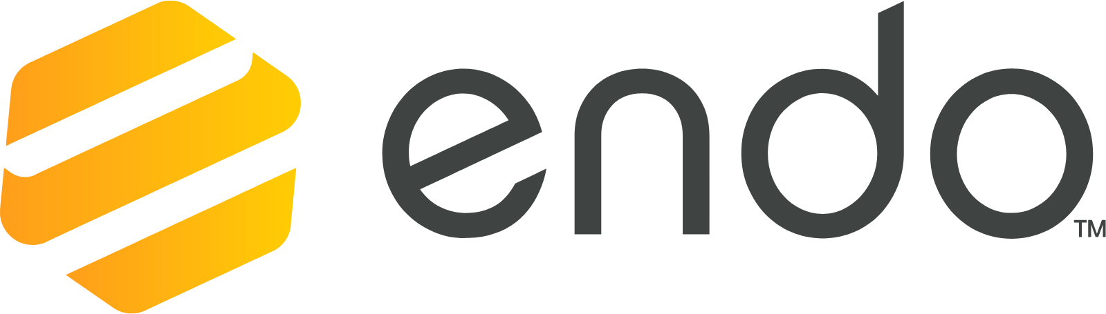 Endo International
 logo large (transparent PNG)