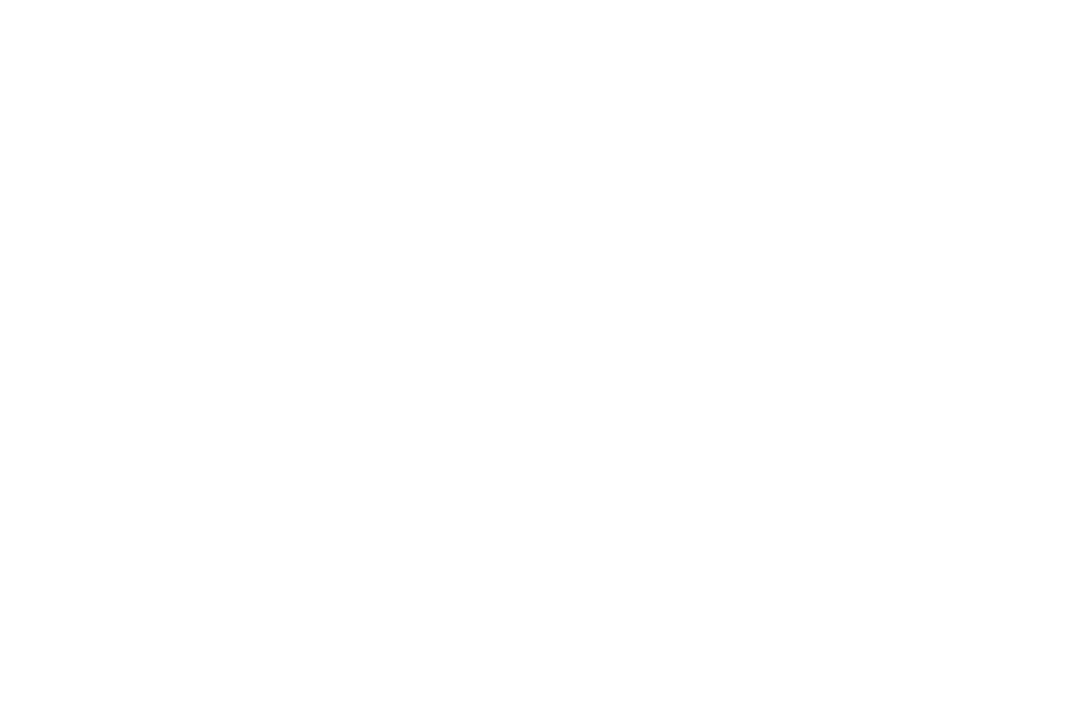 Energizer Holdings
 logo on a dark background (transparent PNG)