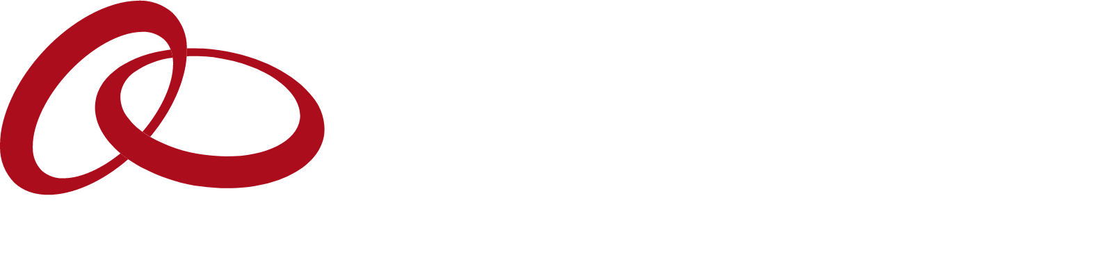 Entegris Logo groß für dunkle Hintergründe (transparentes PNG)