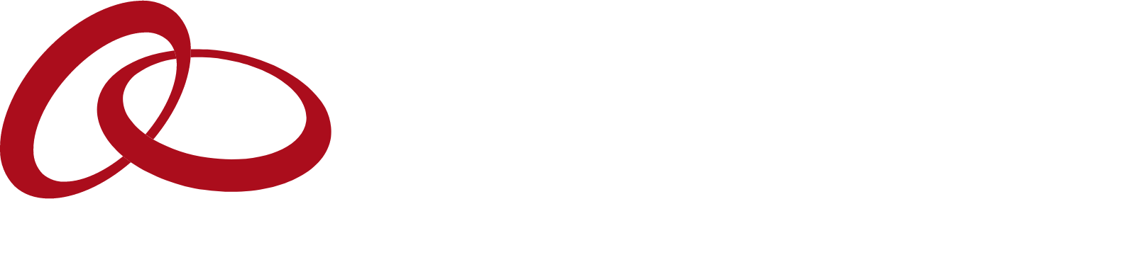 Entegris logo fulle size on a dark background (transparent PNG)