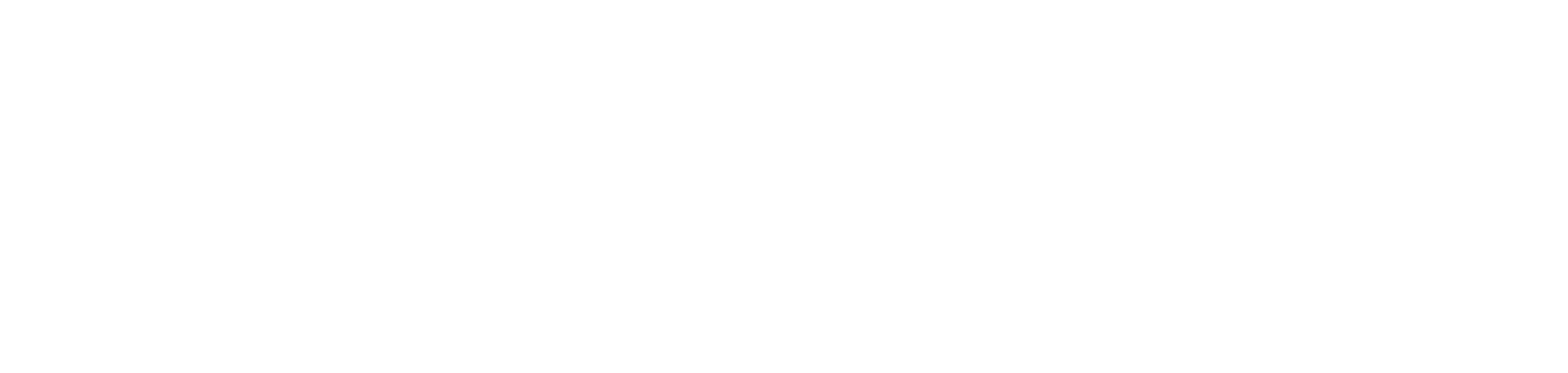 Enerpac Tool Group
 logo fulle size on a dark background (transparent PNG)