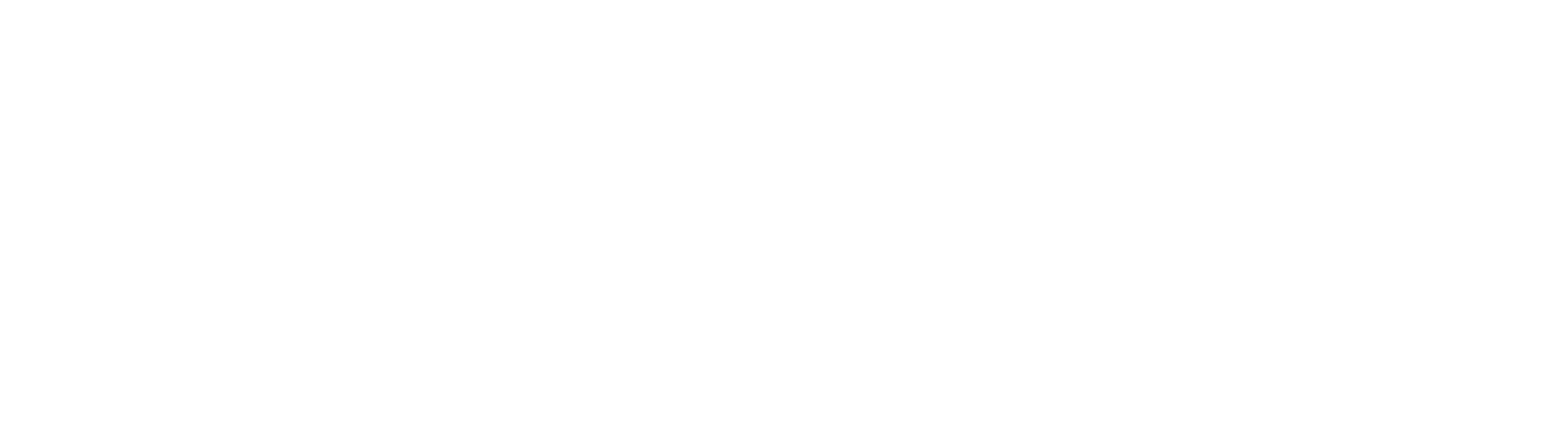 Enstar Group logo fulle size on a dark background (transparent PNG)