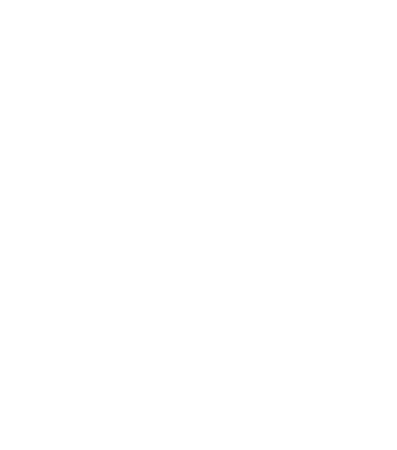 Etsy logo pour fonds sombres (PNG transparent)