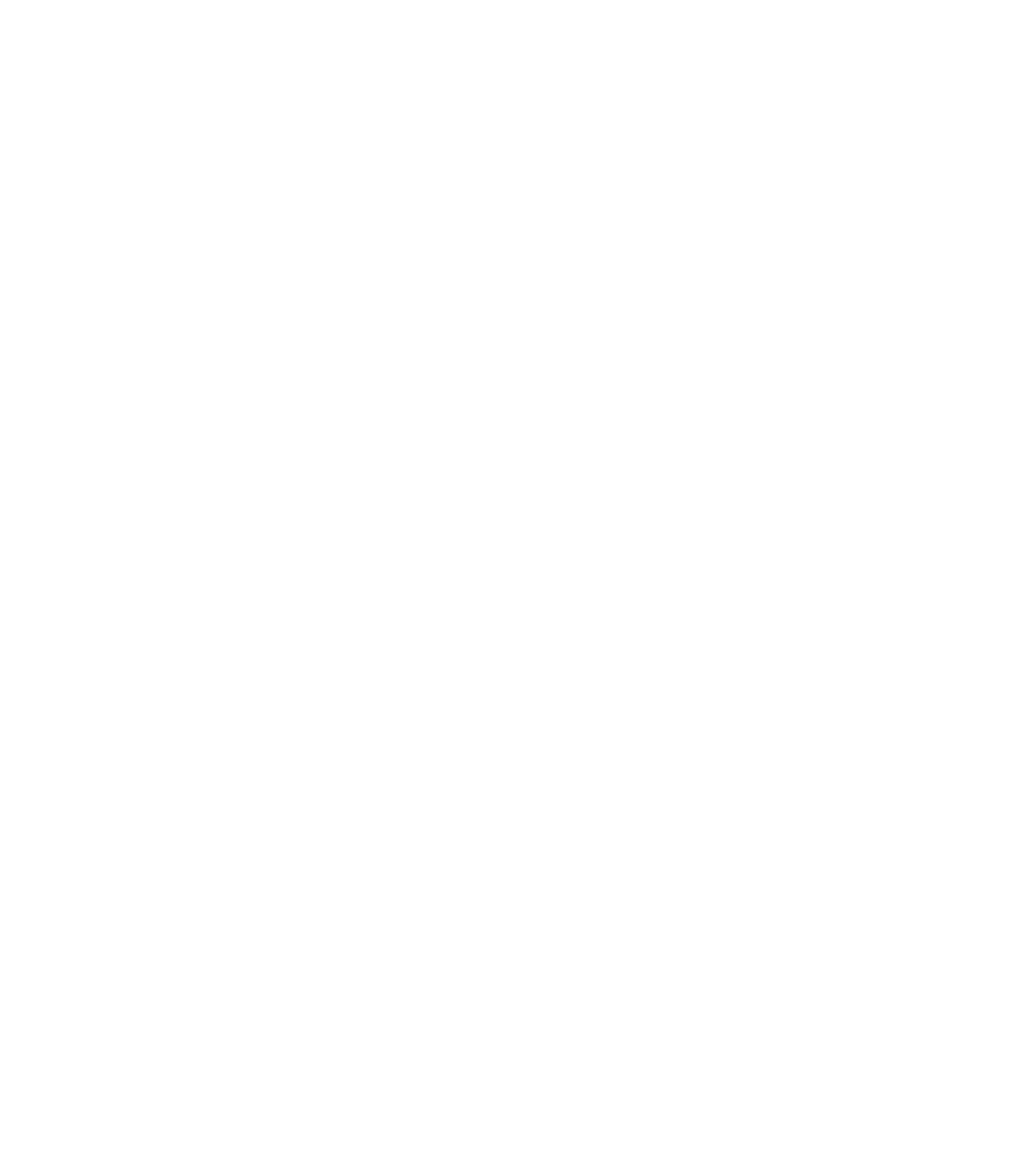 Everi Holdings
 logo on a dark background (transparent PNG)