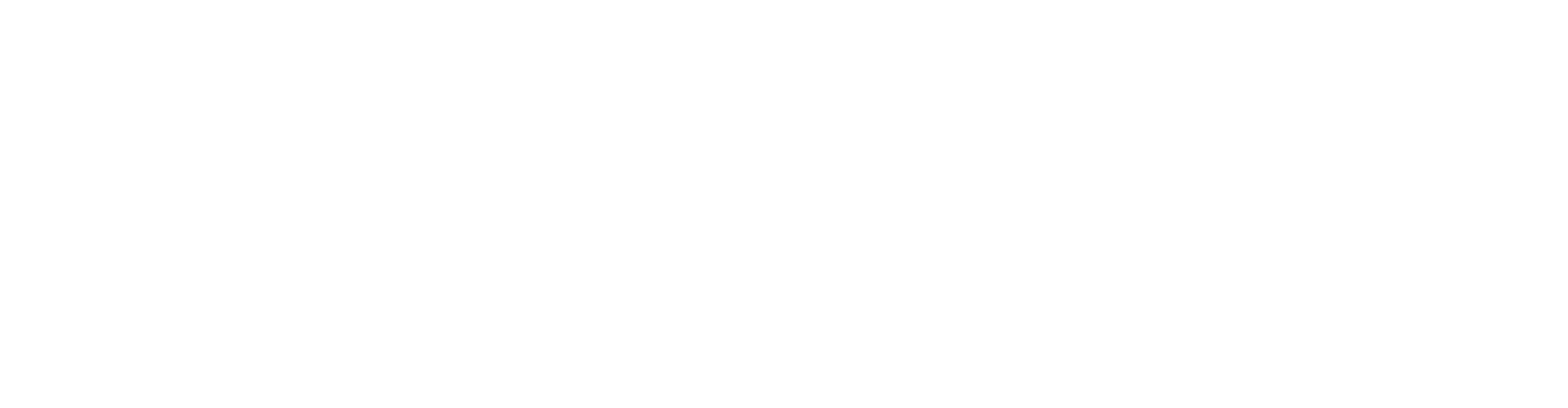 Everi Holdings
 logo fulle size on a dark background (transparent PNG)