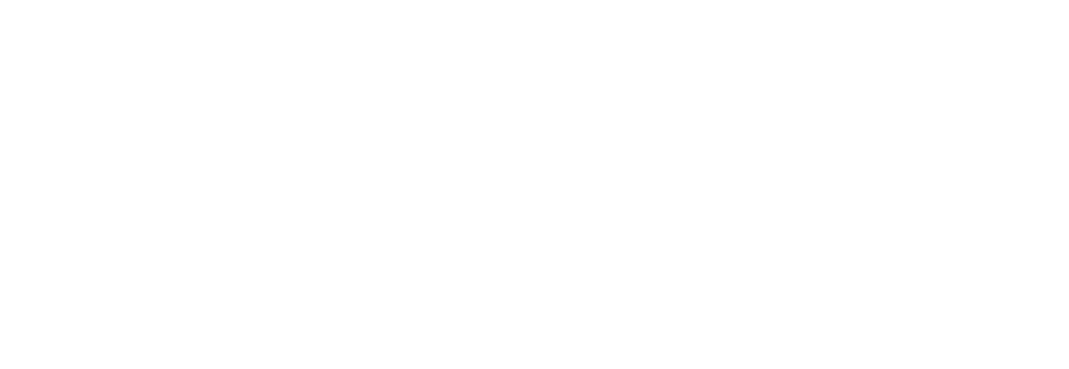 Exclusive Networks logo fulle size on a dark background (transparent PNG)