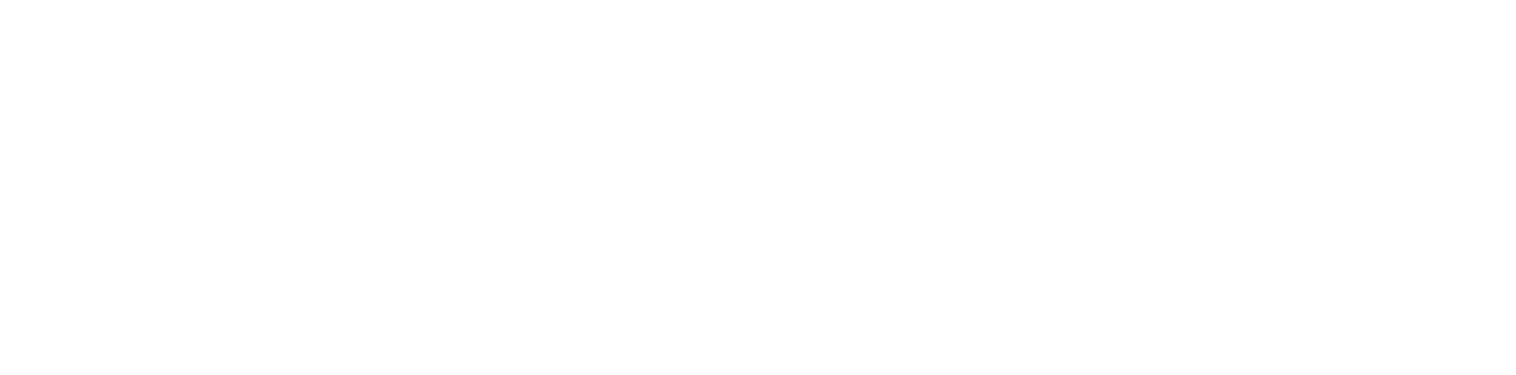 Extreme Networks
 Logo groß für dunkle Hintergründe (transparentes PNG)