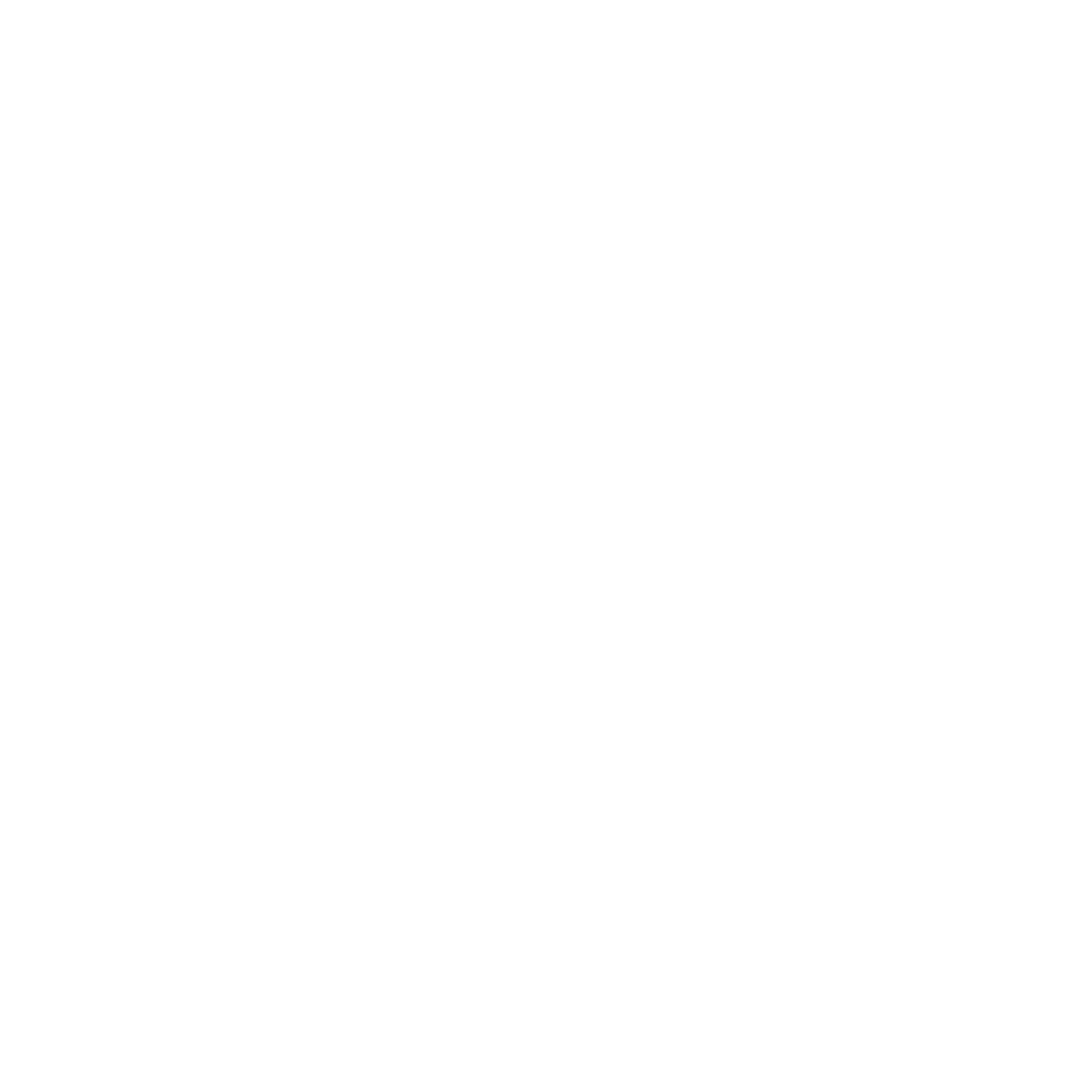 National Vision Holdings logo on a dark background (transparent PNG)
