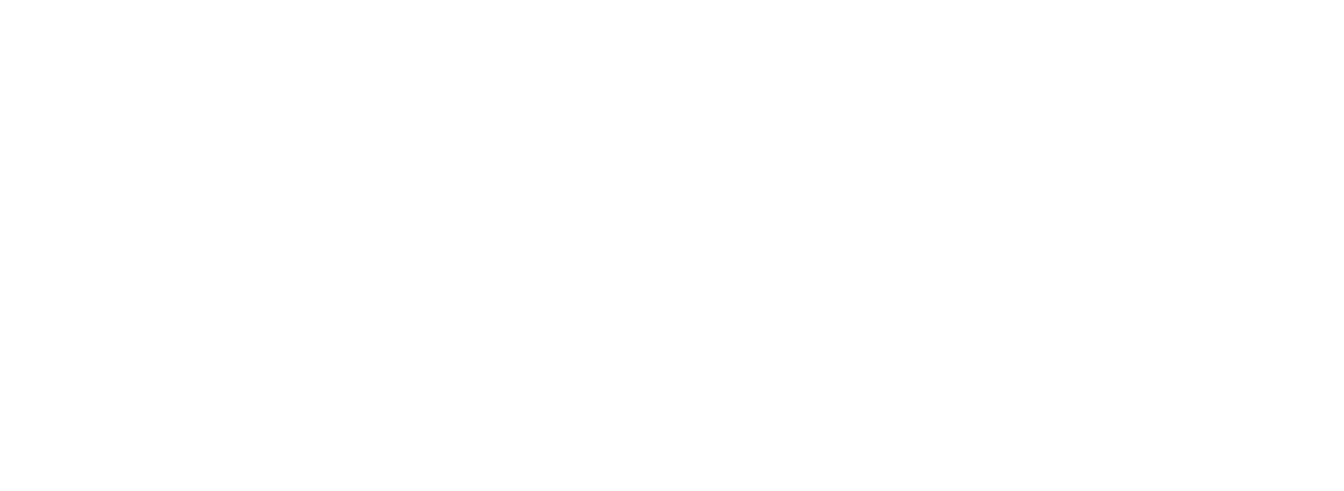 Ferretti logo on a dark background (transparent PNG)
