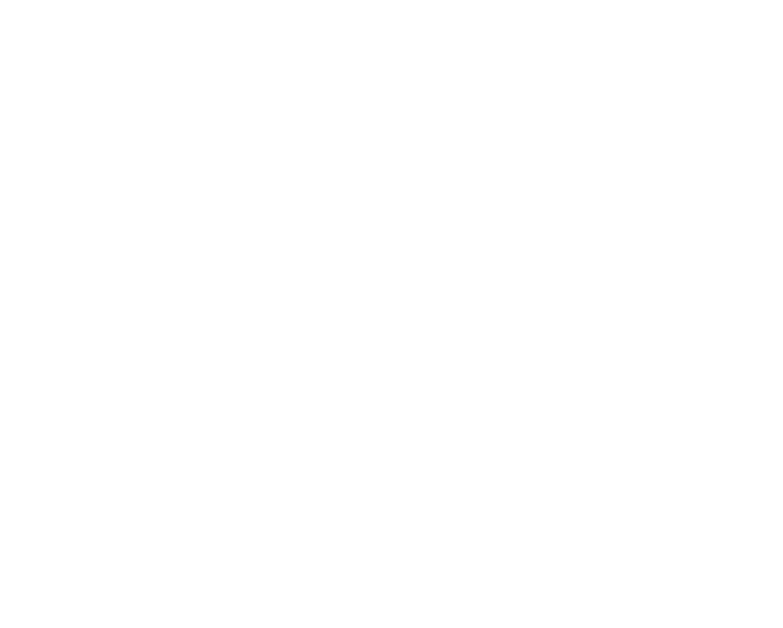 First Advantage Logo für dunkle Hintergründe (transparentes PNG)
