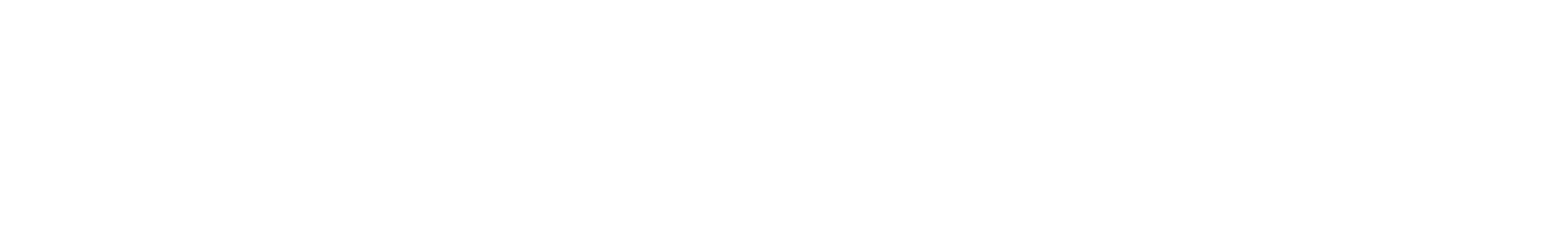 First Advantage Logo groß für dunkle Hintergründe (transparentes PNG)