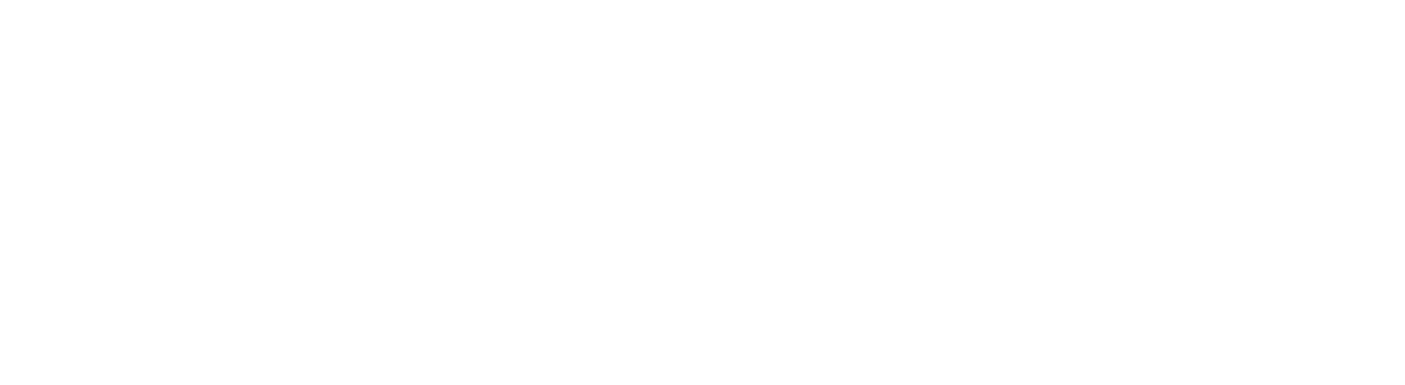 FinecoBank
 logo fulle size on a dark background (transparent PNG)