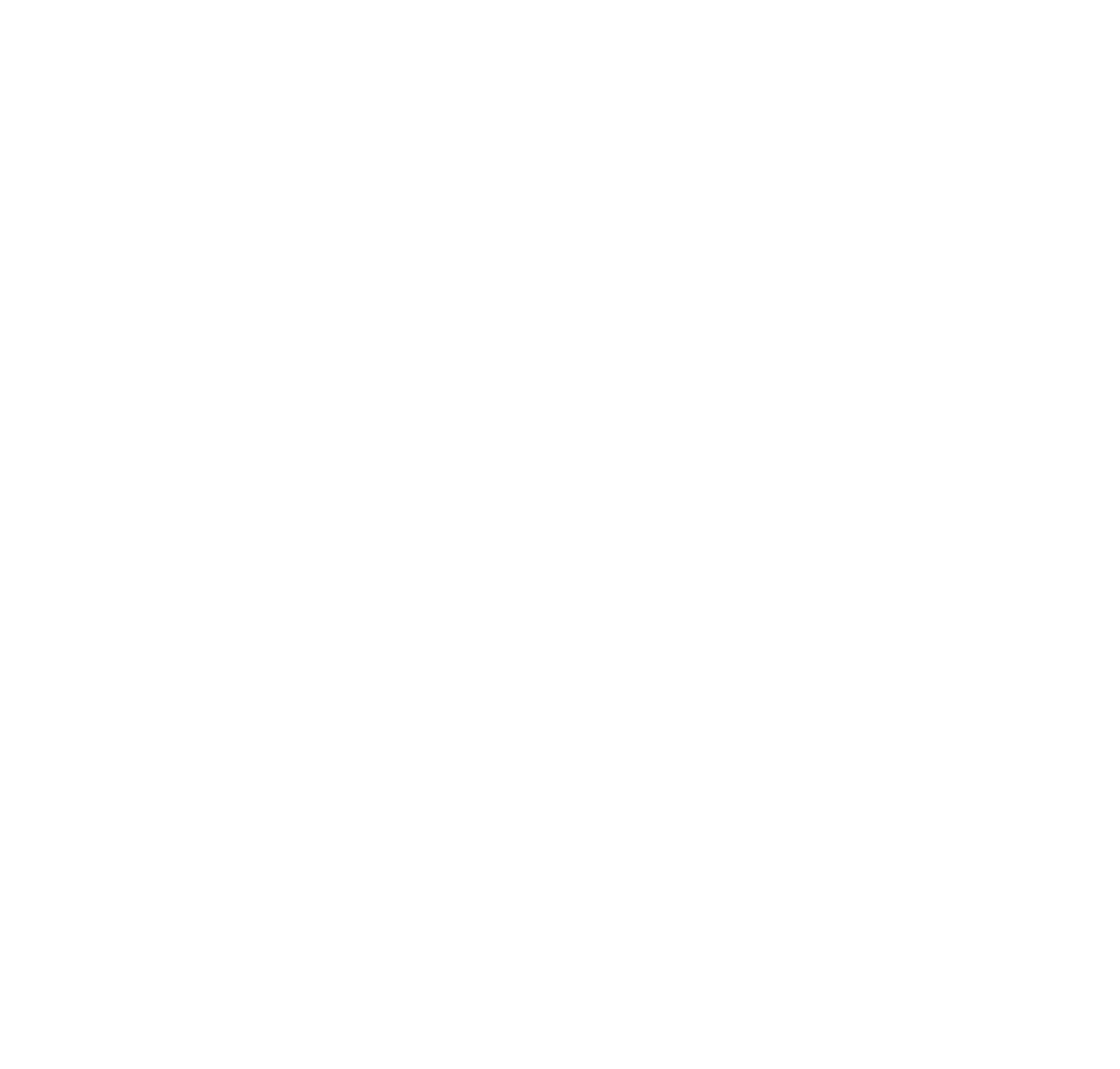Femasys logo on a dark background (transparent PNG)