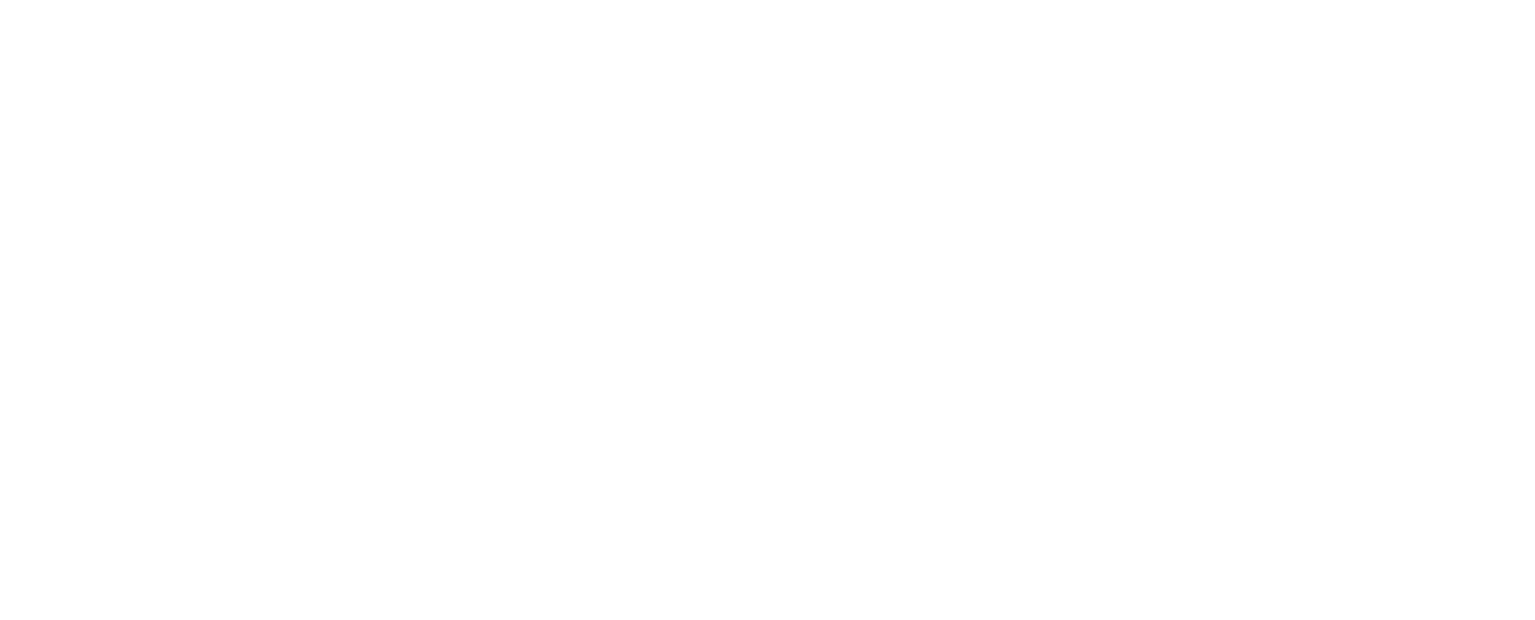 Fidelis Insurance logo fulle size on a dark background (transparent PNG)