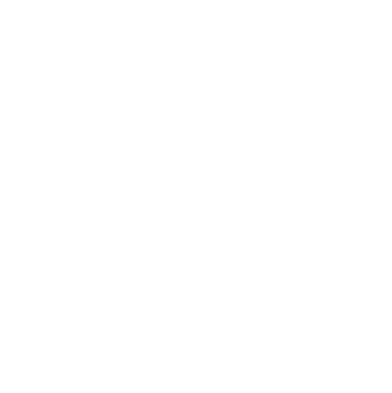 First National of Nebraska
 logo on a dark background (transparent PNG)