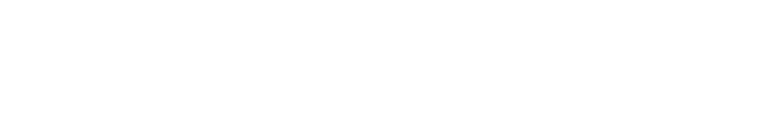 National Beverage
 logo grand pour les fonds sombres (PNG transparent)