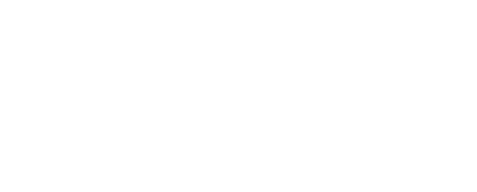 Flex Logo groß für dunkle Hintergründe (transparentes PNG)