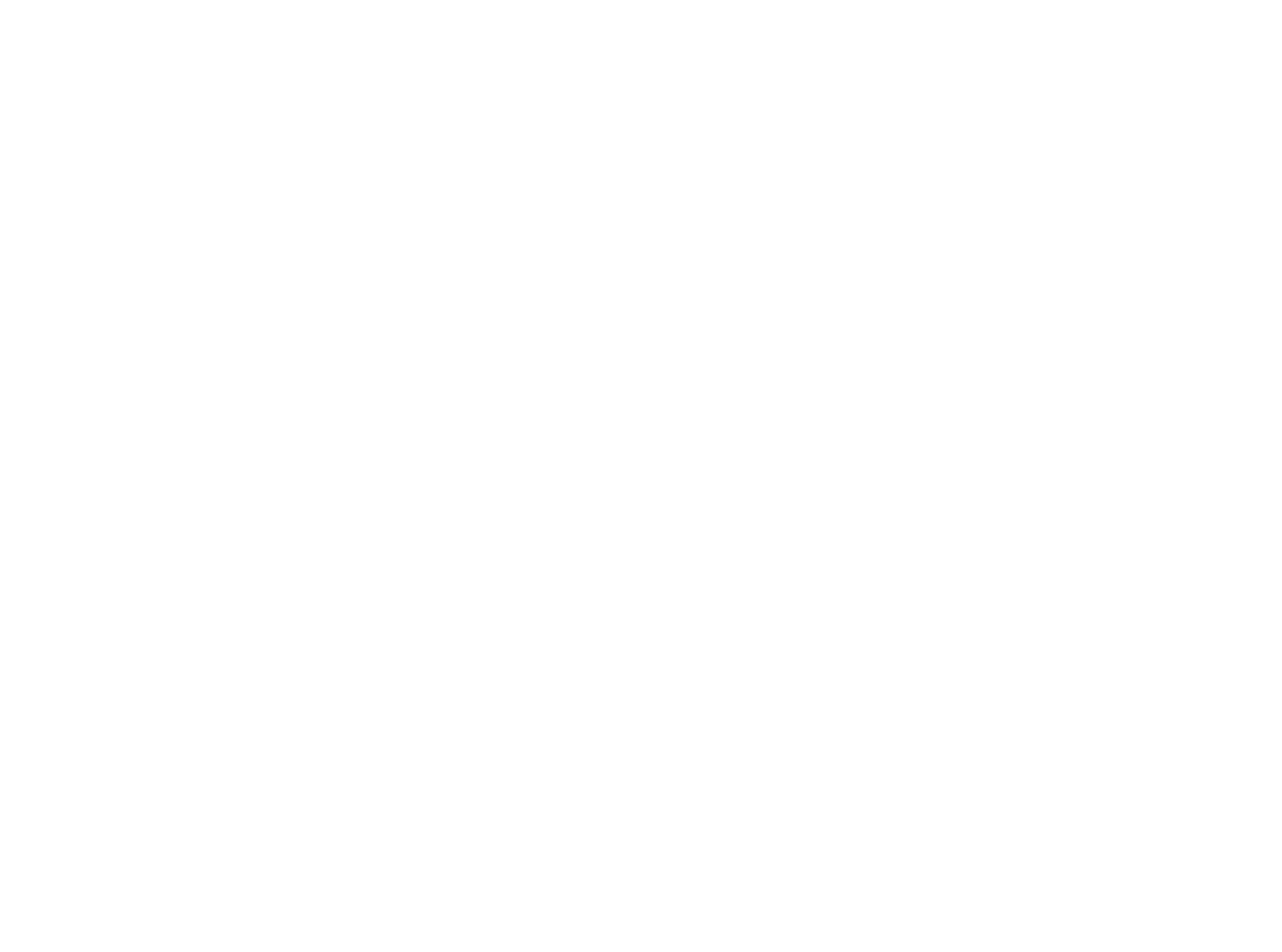 FNM S.p.A. logo on a dark background (transparent PNG)