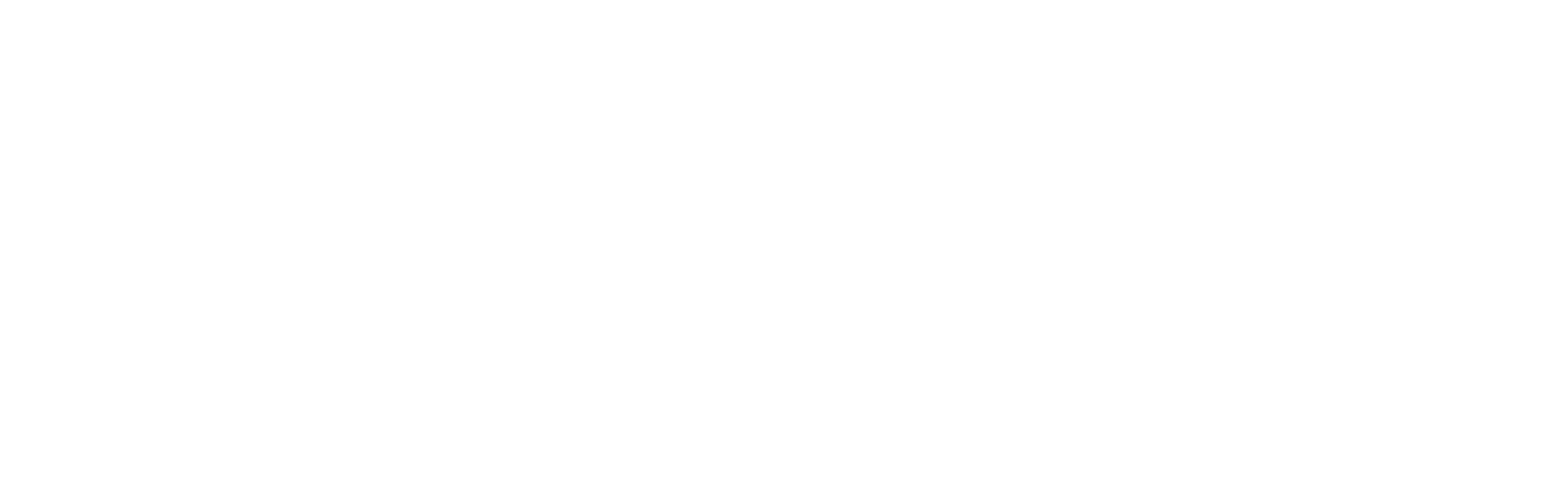 FNM S.p.A. logo fulle size on a dark background (transparent PNG)