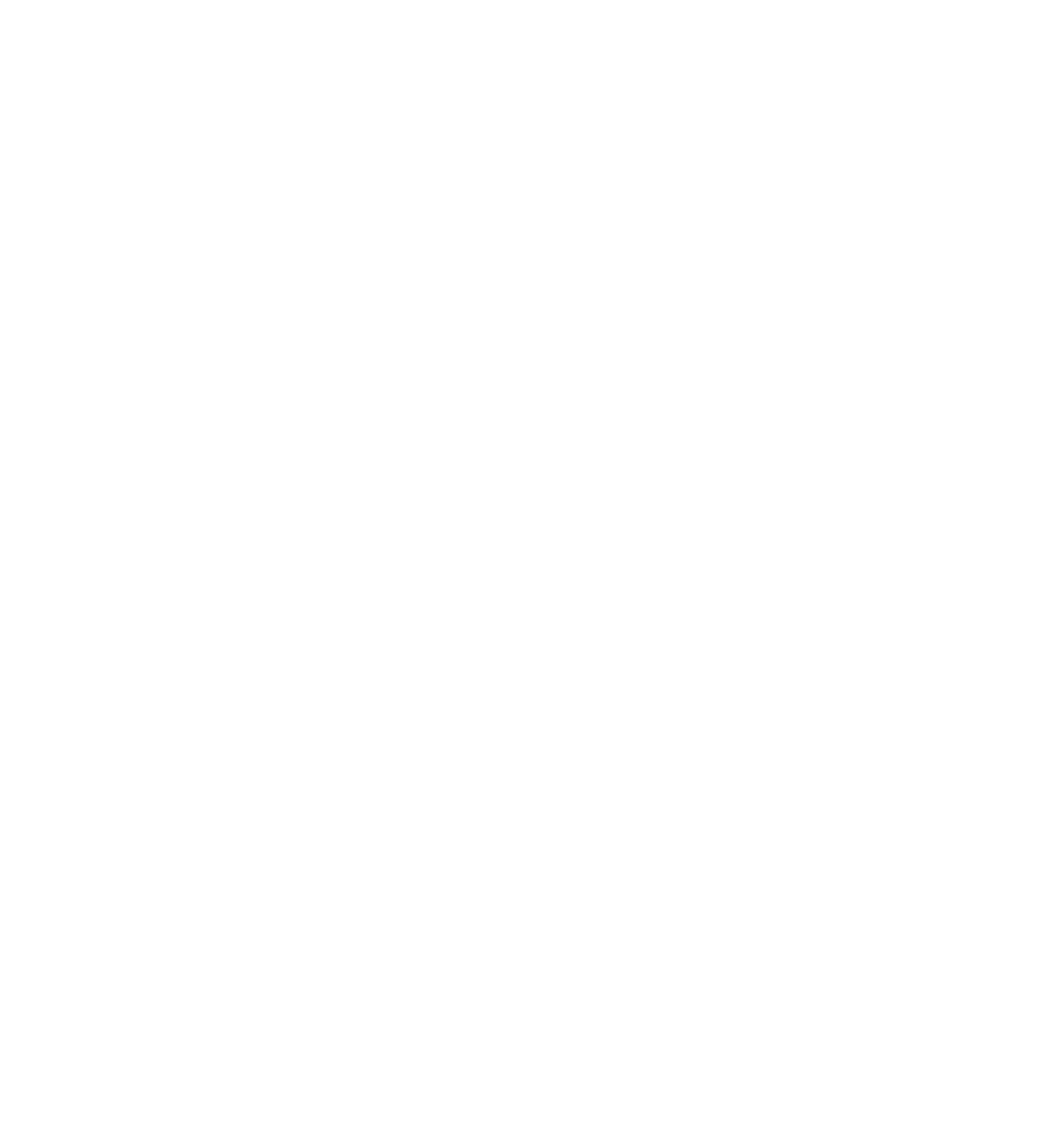 FormFactor logo for dark backgrounds (transparent PNG)