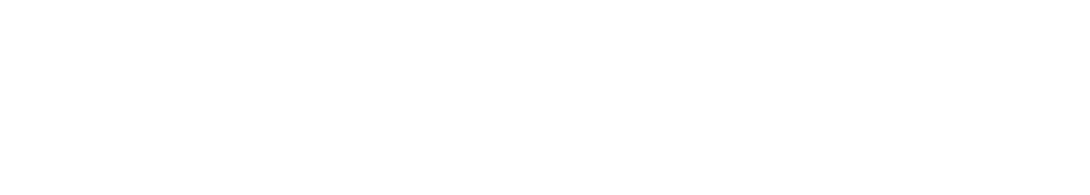 FormFactor logo fulle size on a dark background (transparent PNG)