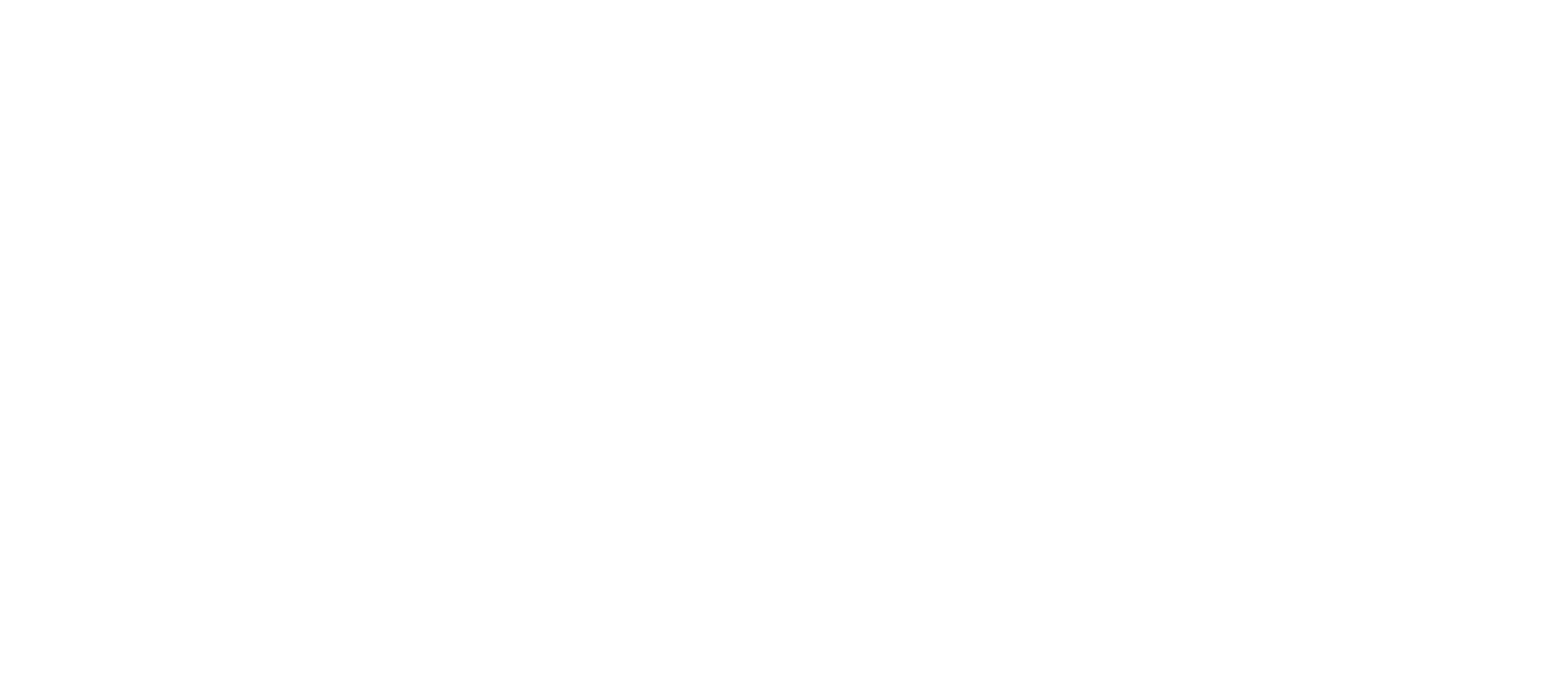 Fox-Wizel logo on a dark background (transparent PNG)