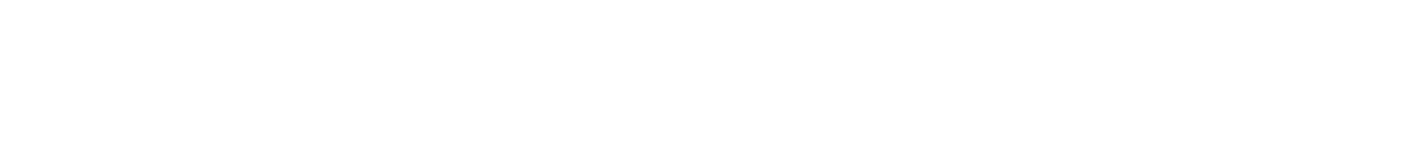 Fox-Wizel logo fulle size on a dark background (transparent PNG)