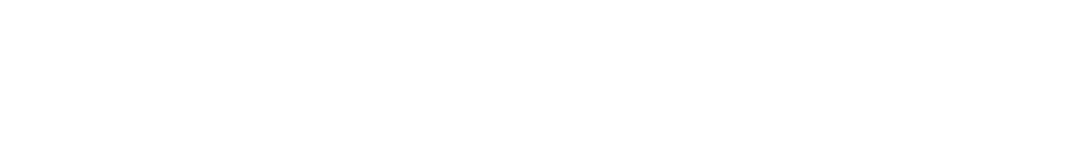 Fresenius Logo groß für dunkle Hintergründe (transparentes PNG)