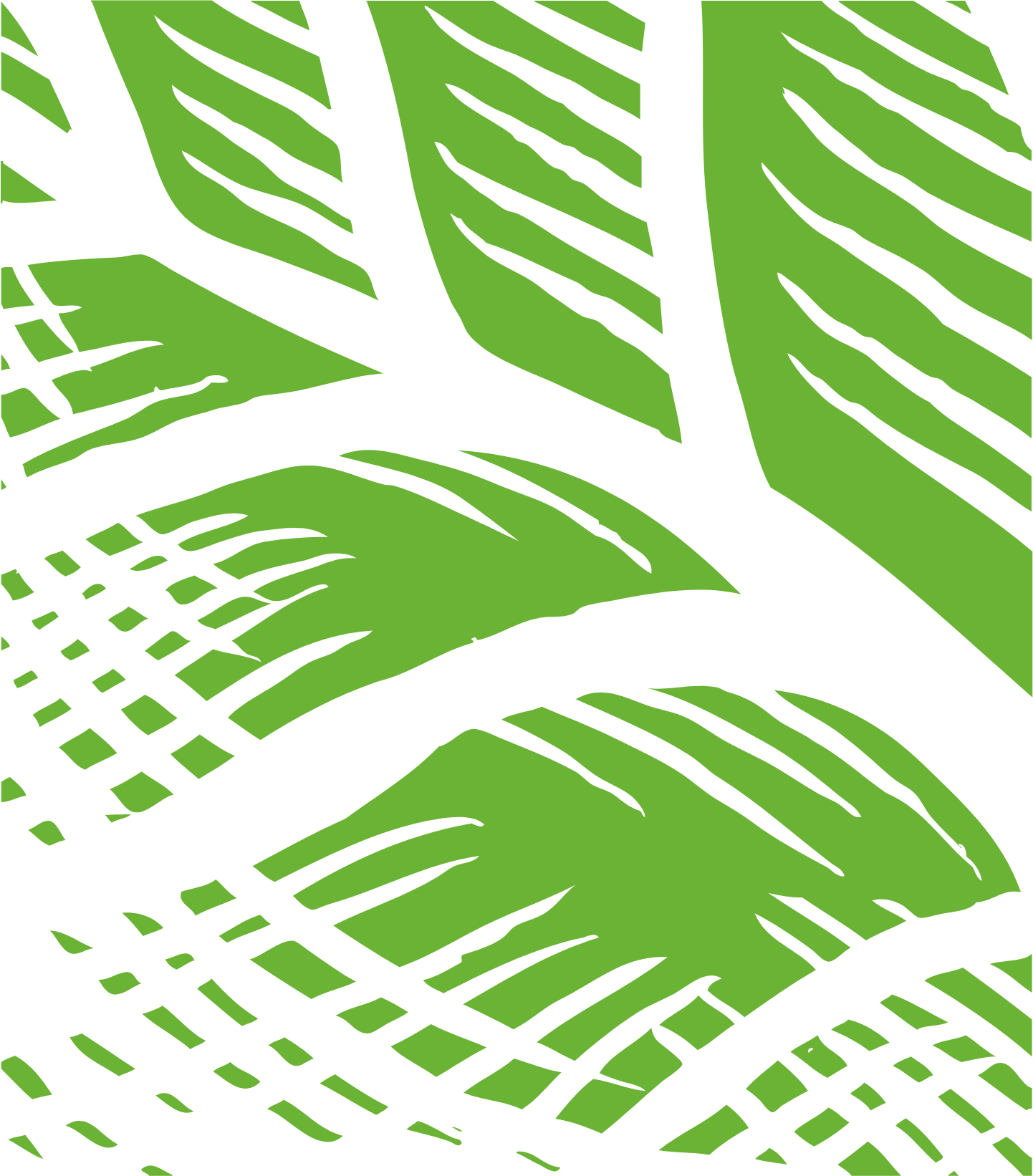 Whole Earth Brands logo (transparent PNG)