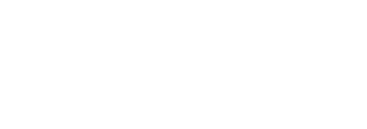 Franchise Group logo on a dark background (transparent PNG)