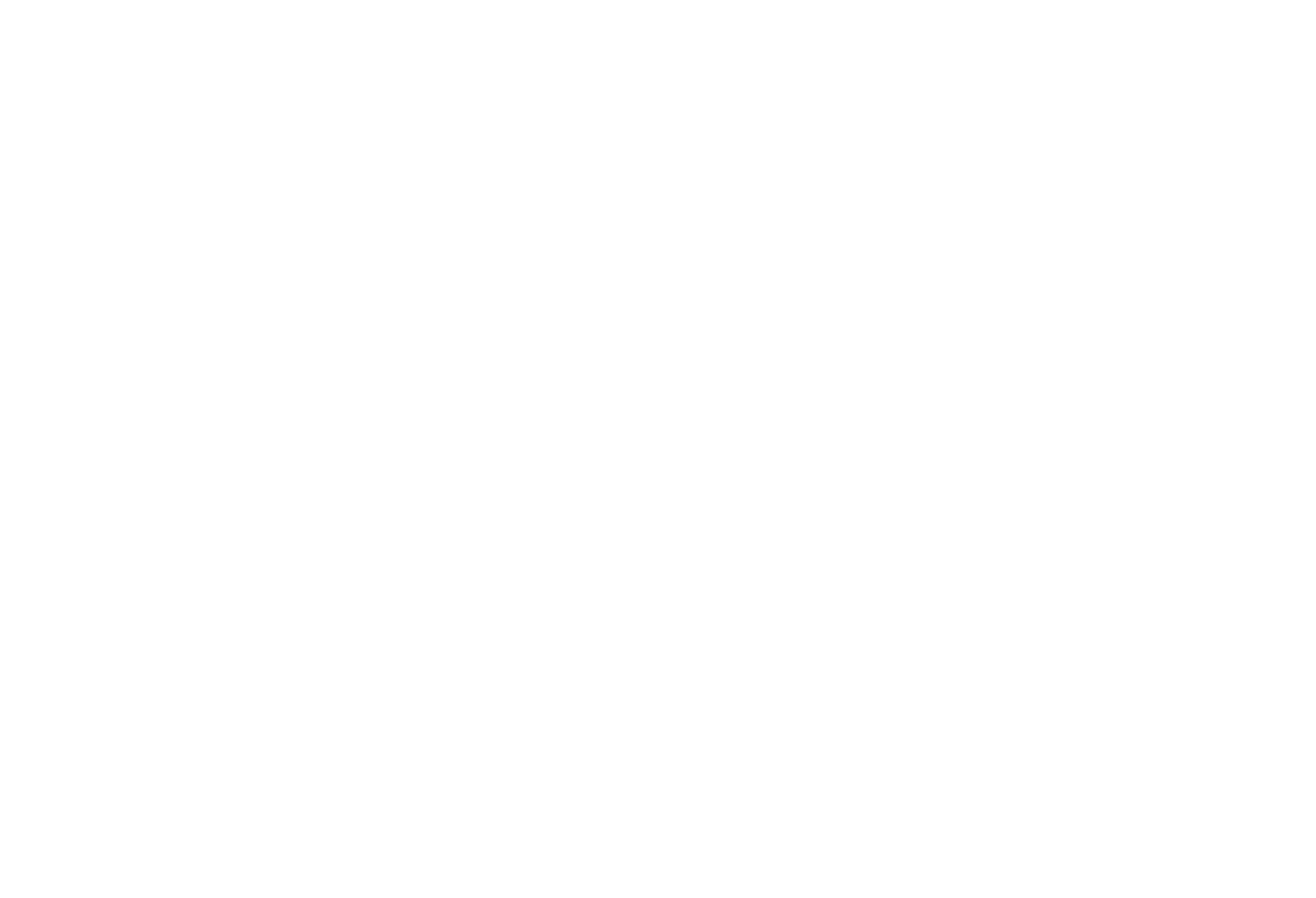 Franchise Group logo fulle size on a dark background (transparent PNG)