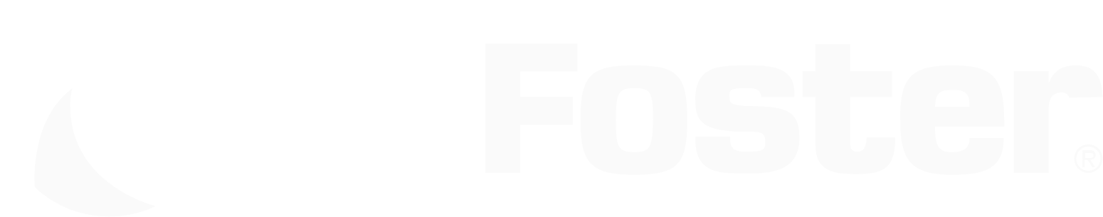 L.B. Foster logo fulle size on a dark background (transparent PNG)