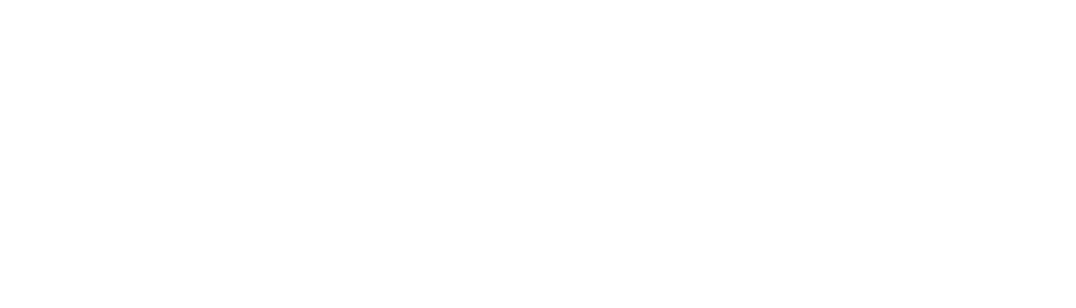 Feintool International Logo groß für dunkle Hintergründe (transparentes PNG)