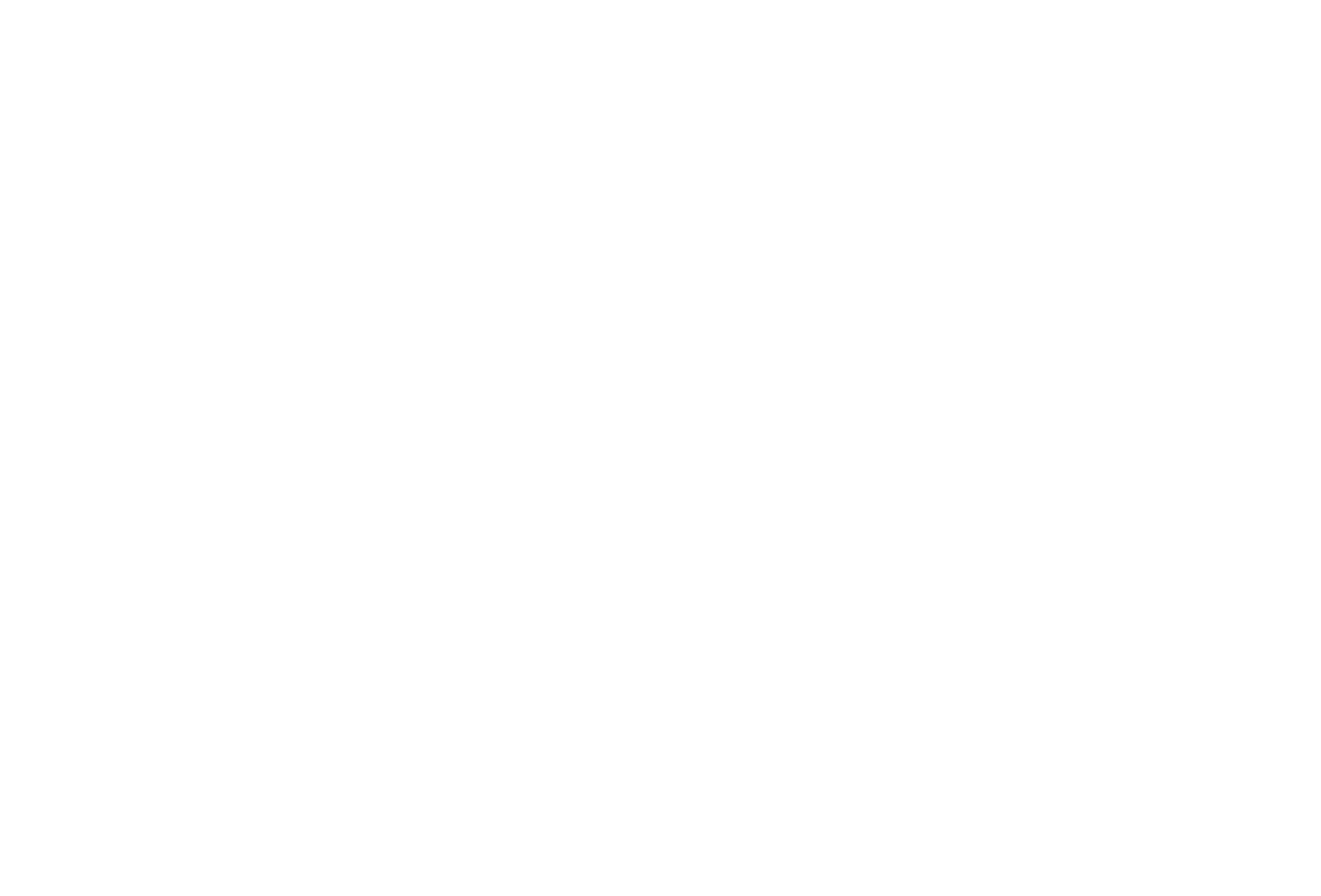 GAM Holding AG logo fulle size on a dark background (transparent PNG)