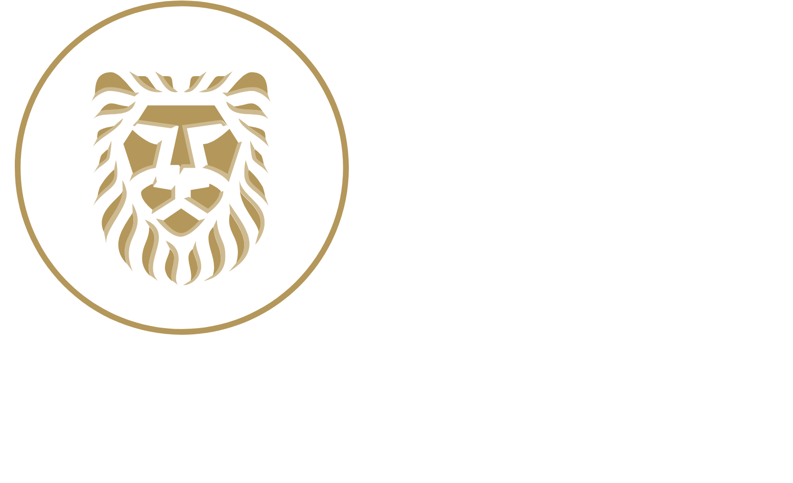 Gold Fields
 logo fulle size on a dark background (transparent PNG)