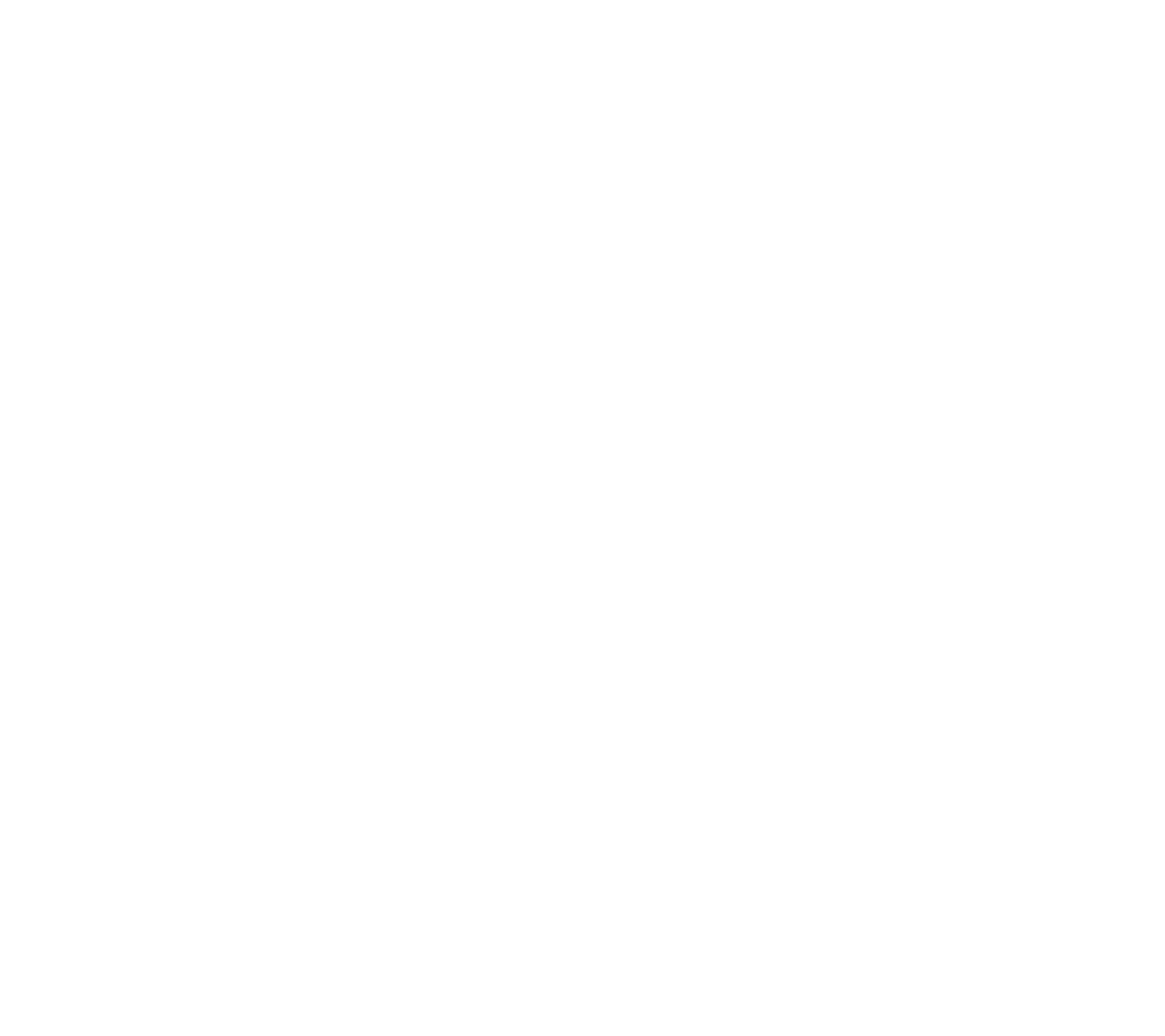 Garmin Logo für dunkle Hintergründe (transparentes PNG)