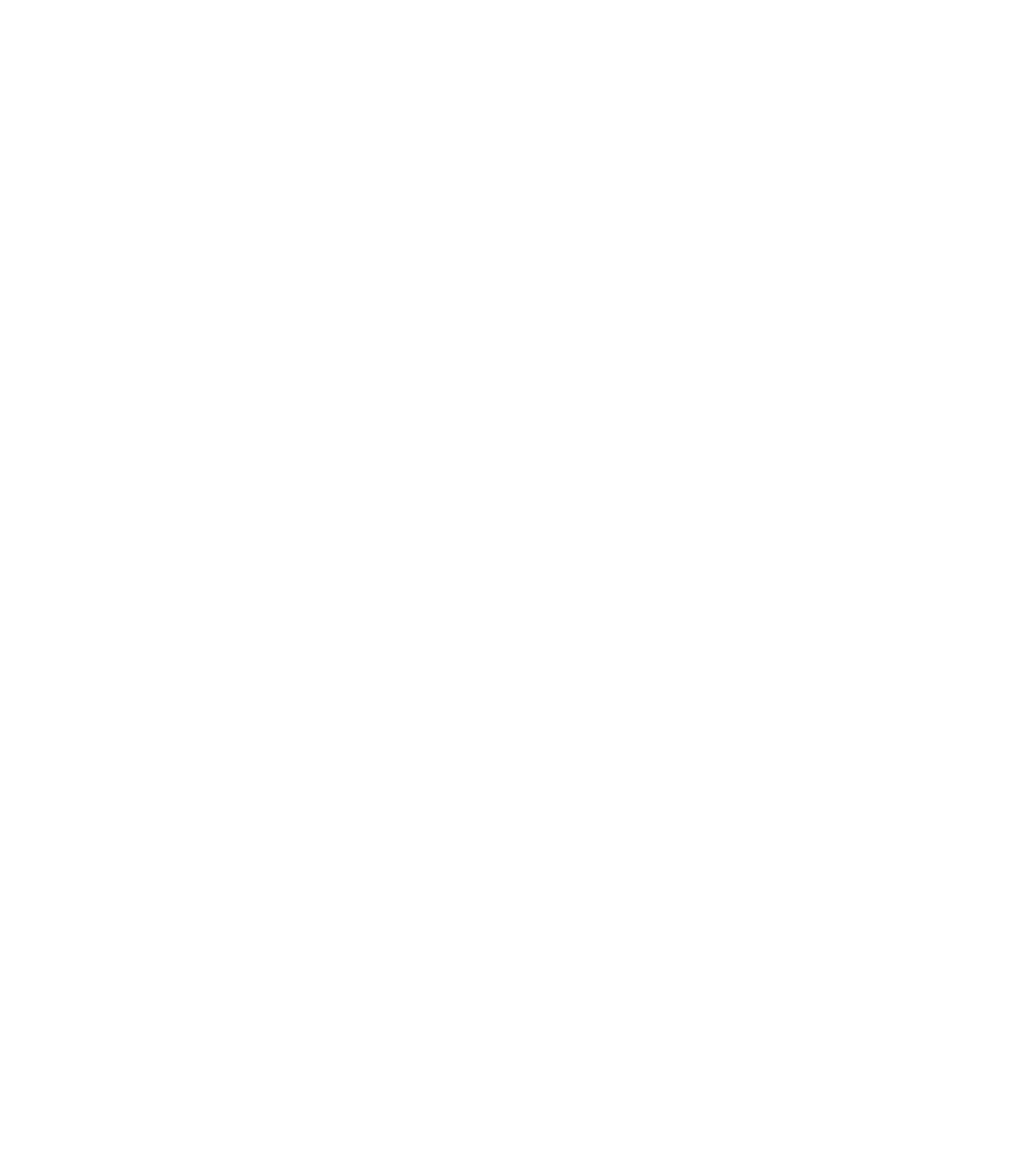 Hornbach Holding
 logo on a dark background (transparent PNG)
