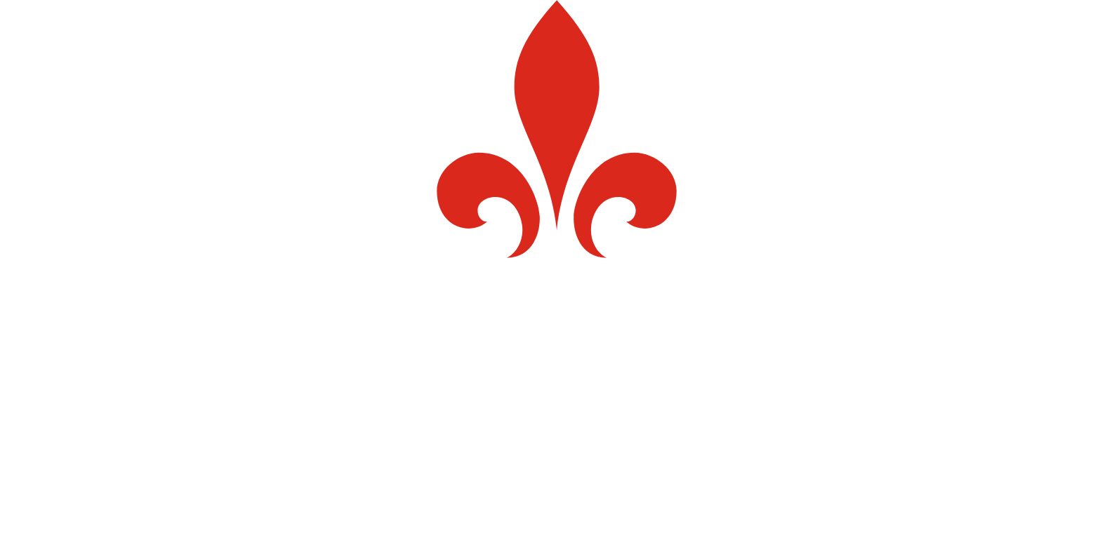 Hiscox logo grand pour les fonds sombres (PNG transparent)