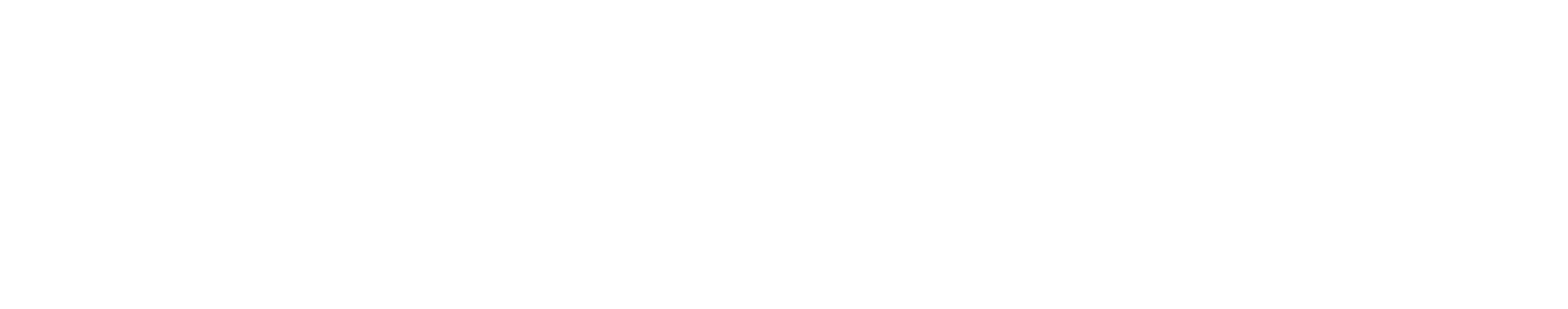 Icelandair logo grand pour les fonds sombres (PNG transparent)
