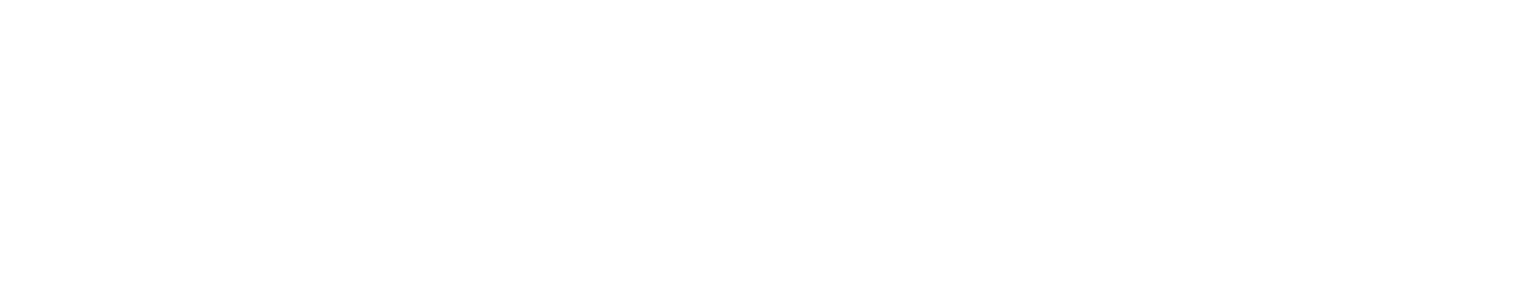 Inditex logo grand pour les fonds sombres (PNG transparent)